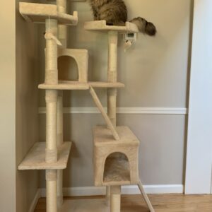 Cat Tree Tower