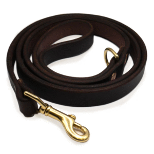 Dog Leash